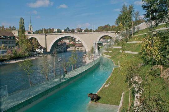 Зоопарк. Берн. Швейцария